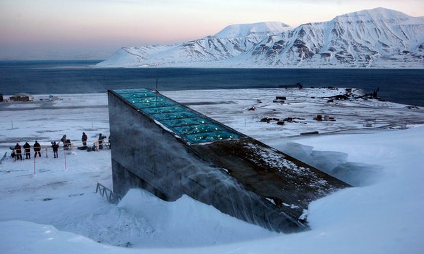 The Svalbard ‘doomsday’ seed vault was built to protect millions of food crops from climate change, wars and natural disasters. Photograph: John Mcconnico/AP