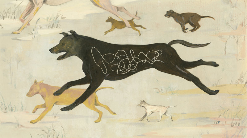 Art of a dog infested with a Guinea worm by Sally Deng for NPR